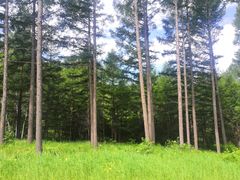 -塞罕坝国家级自然保护区