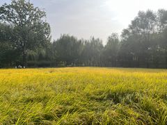 -北坞公园