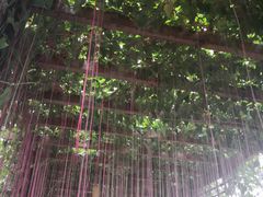 -兴芮温泉度假区