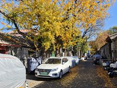 -北京市府学胡同小学