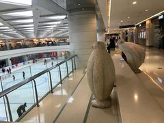 -全明星滑冰俱乐部(万象城店)