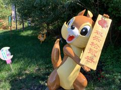 -欢乐松鼠谷