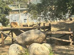 -泉州海丝野生动物世界