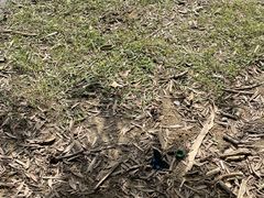 -西湖区图书馆(古墩路)