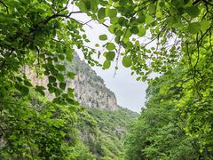 -泰和山景区