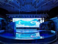 游乐设施-三亚海昌梦幻海洋不夜城