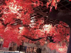 -寻梦盛唐主题水会(龙岗店)