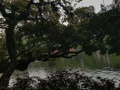 -潮州西湖