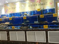 水产区-河马鲜生海鲜超市(风荷园店)