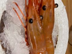 -和创柚子·会席日本料理(新区淮海街店)