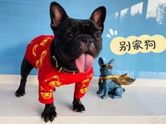 -宠颐生中康贝怡动物医院