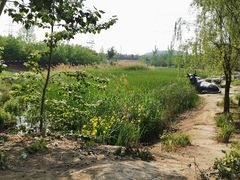 -马家湾湿地公园
