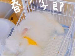 -怪兽屋·羊驼·猫咖·狗咖(俊华广场店)
