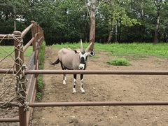 -大连森林动物园