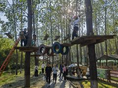 -合肥滨湖国家森林公园