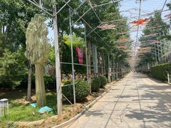 -南宫五洲植物乐园