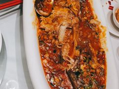 -沪碟·精菜坊(闵行店)