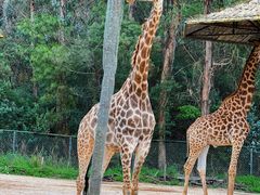 -云南野生动物园