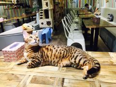 -小时光咖啡馆(开森度假森林店)