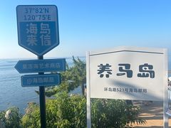 -养马岛旅游度假区