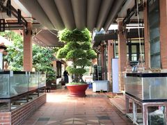 -越海渔村
