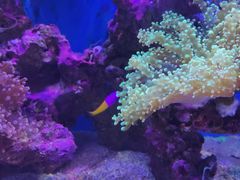 -海合安武汉极地海洋公园