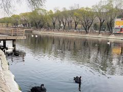 -石家庄市动物园