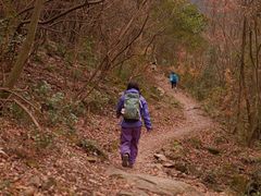 -东白山
