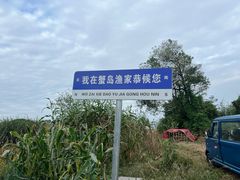 -莲花岛景区