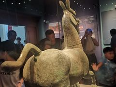 -广西壮族自治区博物馆