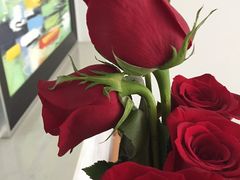 -ROSEONLY诺誓(广州K11店)