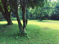 -开平碉楼文化旅游区马降龙景区