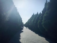 -秦始皇帝陵博物院-丽山园