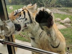 -西安秦岭野生动物园