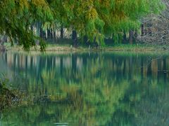 -贡湖湾湿地公园