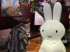 -咖法森林·咖啡  酒吧(天河店)