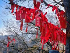 -终南山南五台景区