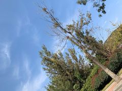 -威海华夏城景区