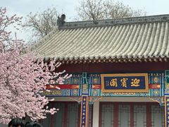 -桃花堤公园