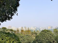 -潜山国家森林公园