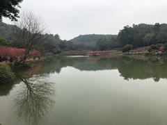 -南国桃园旅游度假区