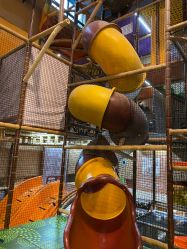 -卡通尼·Safari非洲探索乐园·生日会(金桥国际商业广场店)