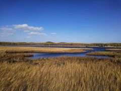 -塞罕坝国家级自然保护区