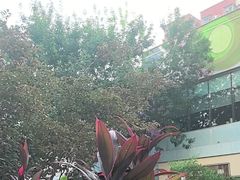 -中粮·祥云小镇