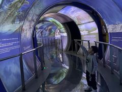 -房山世界地质公园博物馆