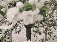 -北京植物园南门售票处
