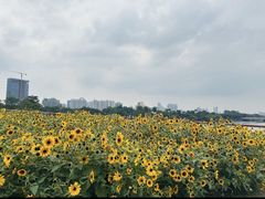 -旧雨咖啡·CoffeeFORU(黄村奥体店)