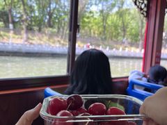 -皇家御河游(紫御湾码头)