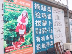 -大自然农场蔬菜草莓采摘园