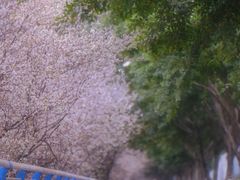 -重庆欢乐海底世界
